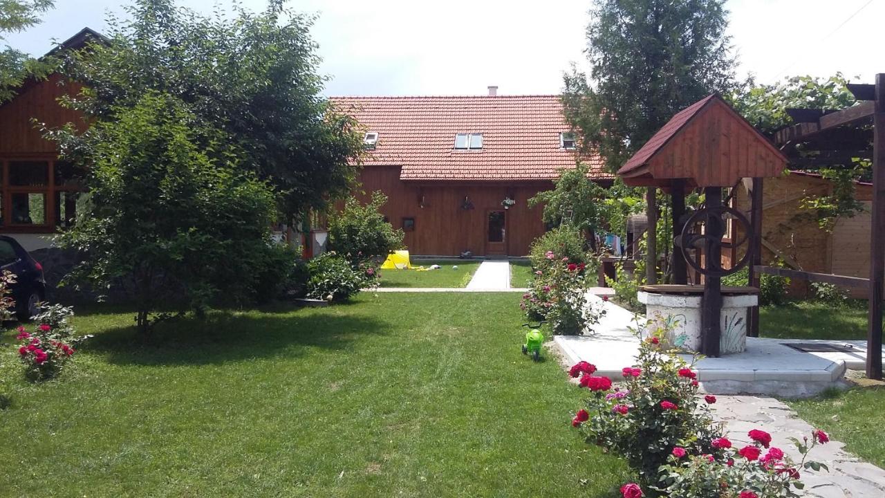 Albinuta Guesthouse Ozun Exterior foto